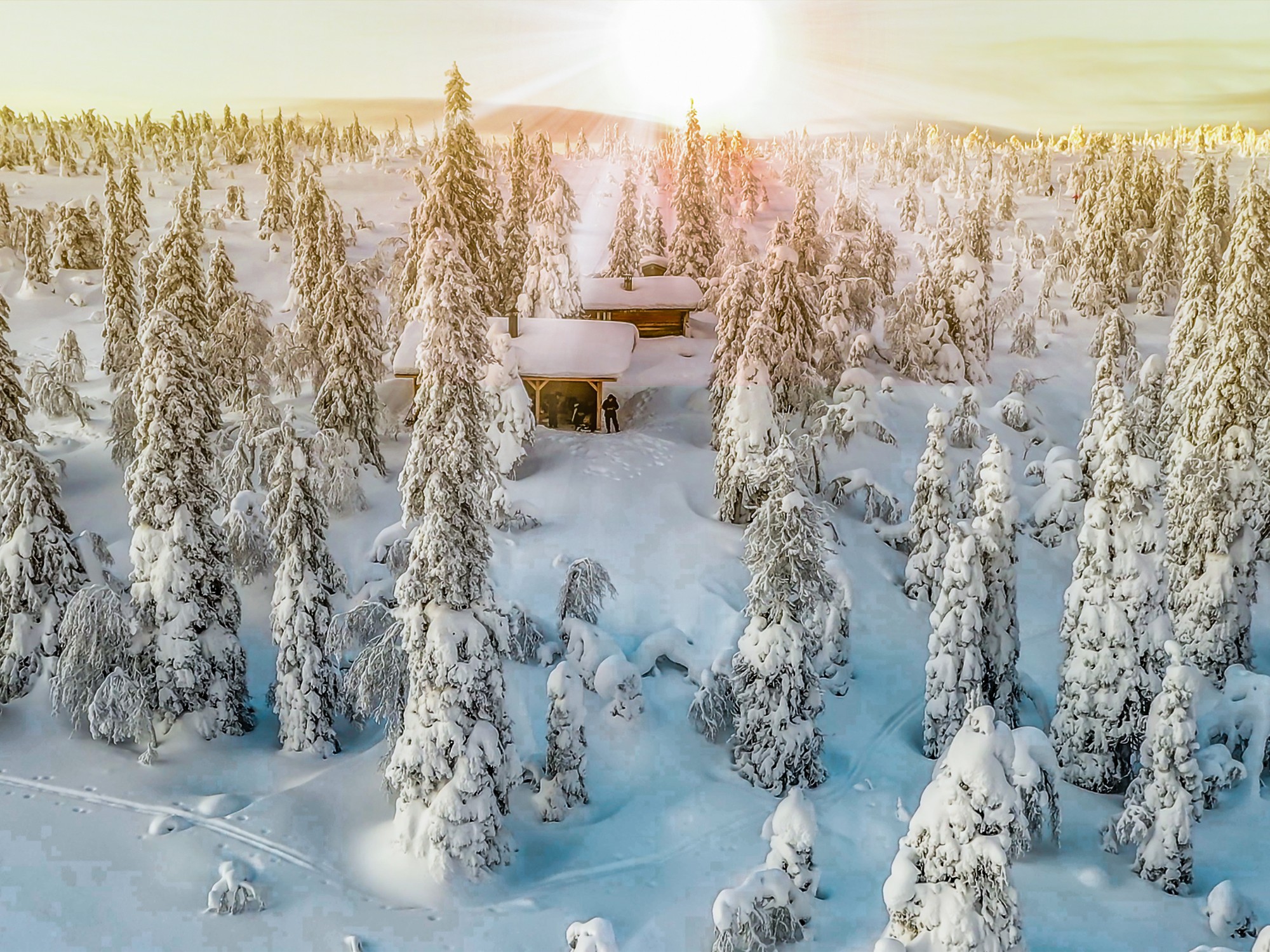 Finnish snowy forest with traditional sauna